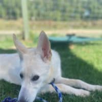 Photo of Aspen