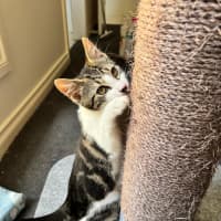 Photo of Hamish