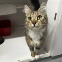 Photo of Darla