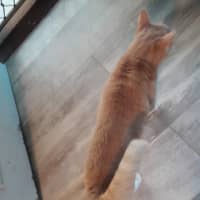 Photo of Elio