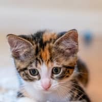 Photo of Zoe