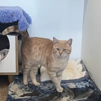 Photo of Mikey