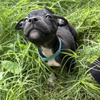 Photo of Leni