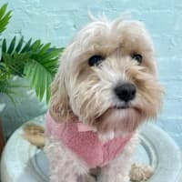 Photo of Amy