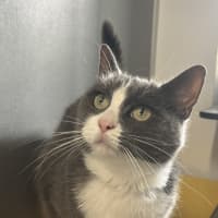 Photo of Luna
