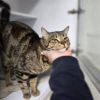 Photo of Ollie