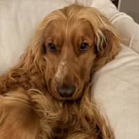Photo of Cookie Dumont