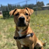 Photo of Arlo