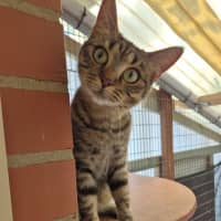 Photo of Jolene!👢