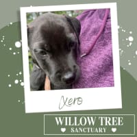 Photo of Xero