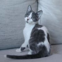 Photo of Smidge