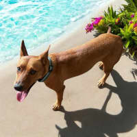 Photo of Tilly