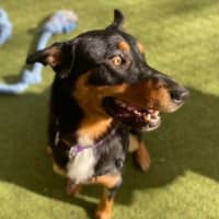 Photo of Bob