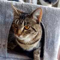 Photo of Sully 🌹🌹🌹