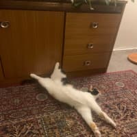 Photo of Maia   Located In Preston