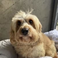 Photo of Wanda