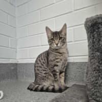 Photo of Autumn! 🍁