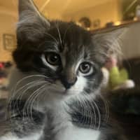 Photo of Bohdi & Lottie