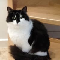 Photo of Kyle Rsta011628