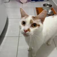 Photo of William