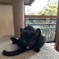 Photo of The Riddler