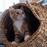 Photo of Kevin