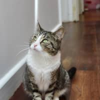 Photo of Bella