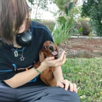 Photo of Wiggles