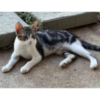 Photo of 13064   Faith