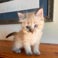 Photo of Bob