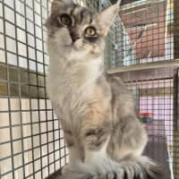 Photo of Spring! 🌷