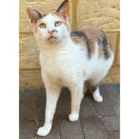 Photo of 11766   May