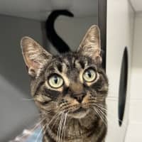Photo of Narla