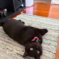 Photo of Moni