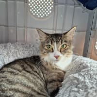 Photo of Bailey!  👑 