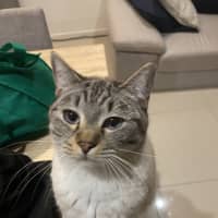 Photo of Bruce