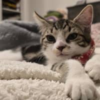Photo of Isidora