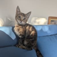 Photo of Blanche Golden