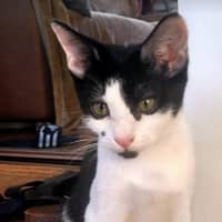 Photo of Manny And Munro