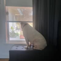 Photo of Stormin Normin