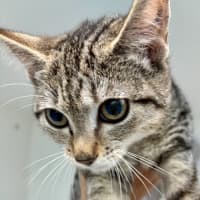 Photo of Cali