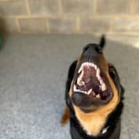 Photo of Rippley