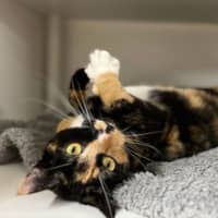 Photo of Enid