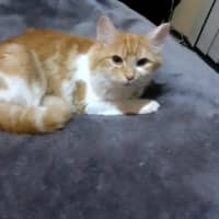 Photo of Hissy Miggins