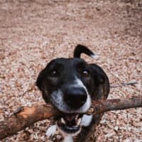 Photo of Oscar And Annika Newhaven