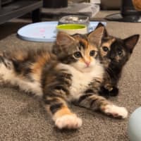 Photo of Astrid & Yogi