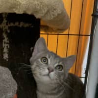 Photo of Lala