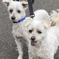 Photo of Snowy And Stormy