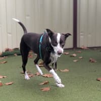 Photo of Bella 
