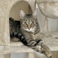 Photo of Lexi